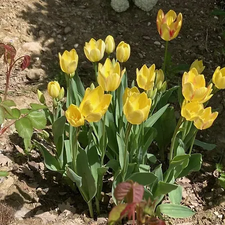 Daire Localita S Cecilia 30, Urbania