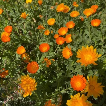 Localita S Cecilia 30, Apartment *